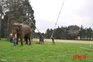 Geplanter Antennenbau auf Toms Wiese